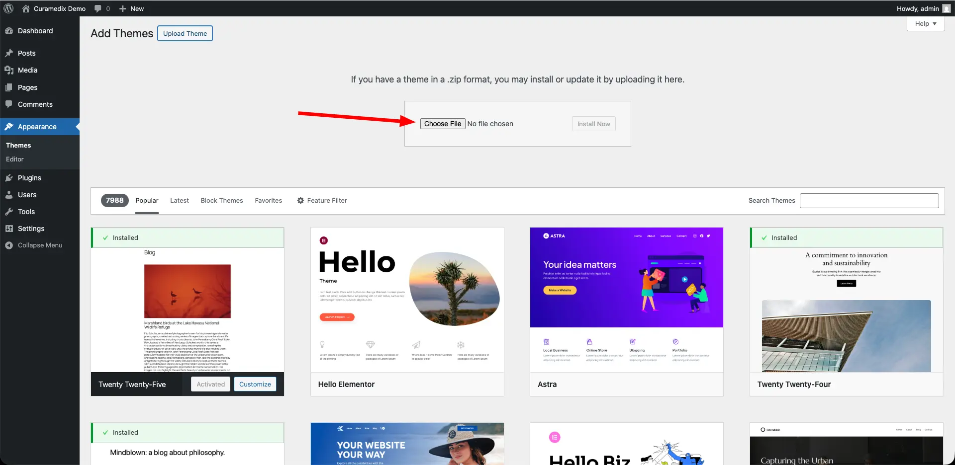Screenshot of curawell theme installation